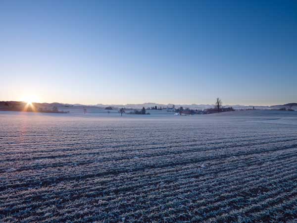 Nänikon - Höchi - Sonnenaufgang
