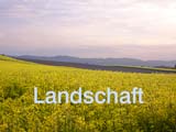 Landschaft